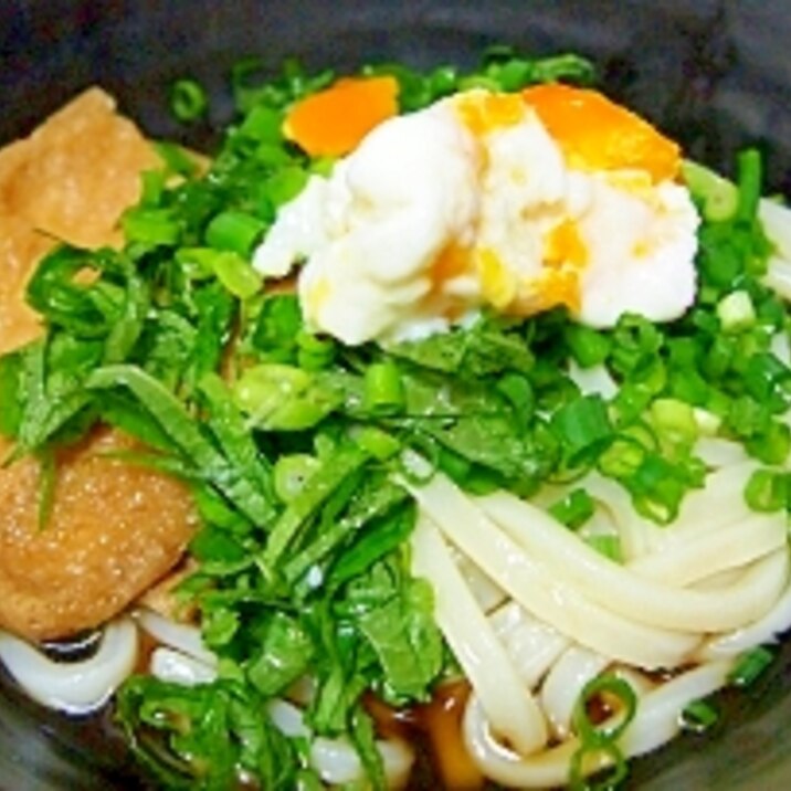 薬味たっぷり冷やしきつねうどん